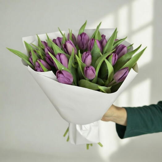 Фиолетовая Весна -25 Пурпурные Тюльпаны