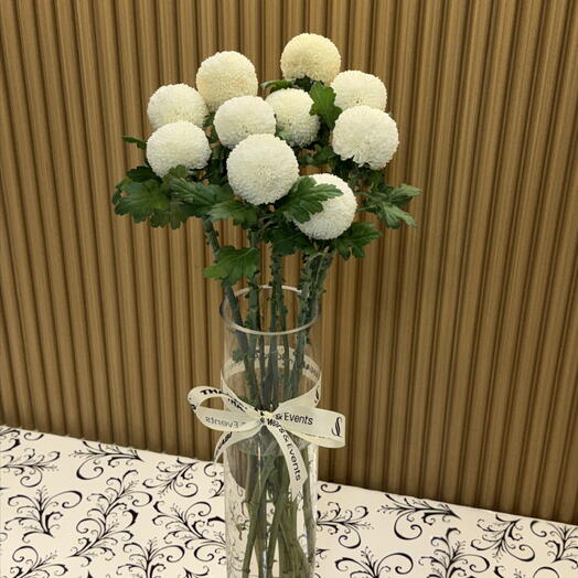 مزهرية بيضاء على شكل كرة بوم بوم 1122