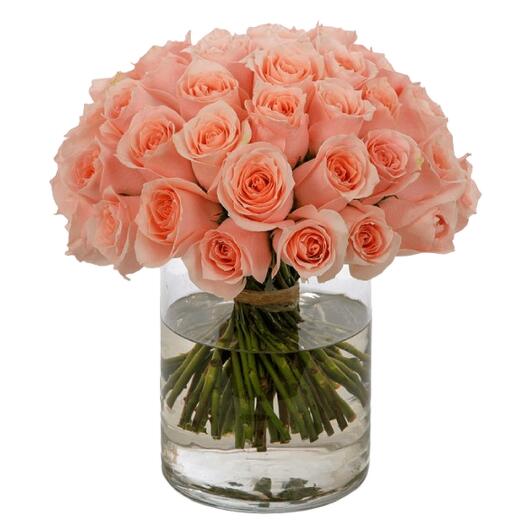Beautiful Peach Rose Glass Vase