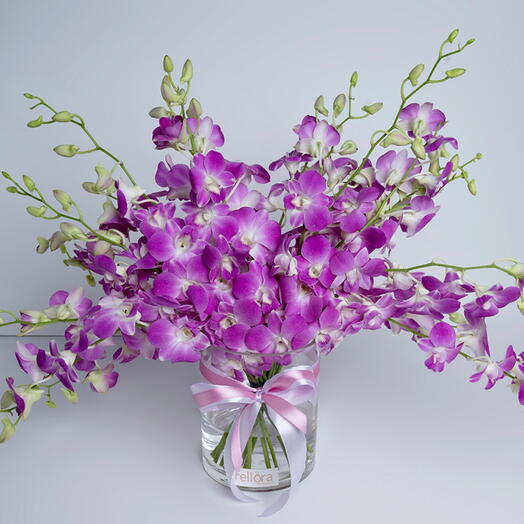 19 розовых орхидей в вазе-1585
