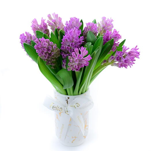 Hyacinth Oasis - Purple-1658