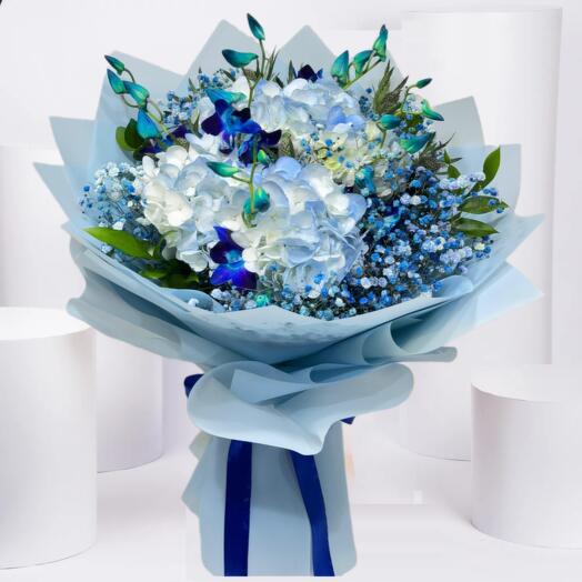 Oceanic Dreams Arrangement-1