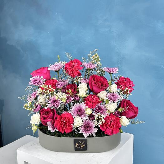 Фуксия Сплэш