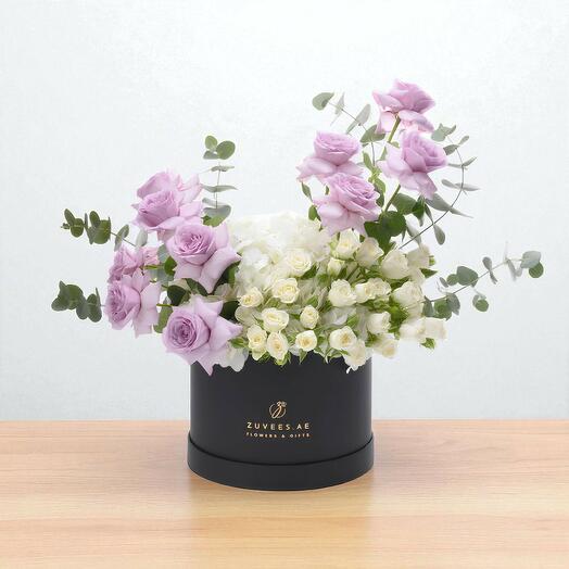 Lavender   Light Box Collection