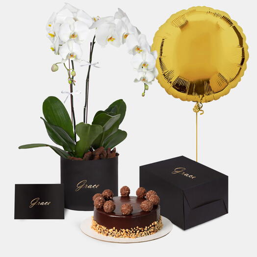 Orchids in Box with Ferrero Cake Bundle
