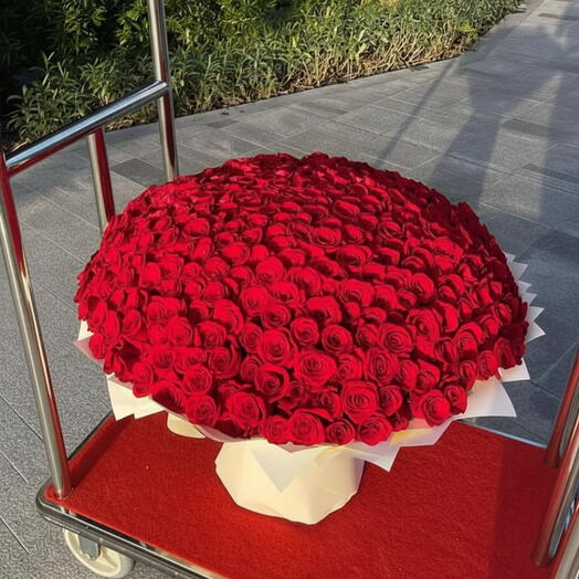 350 Red Rose Bouquet - Premium