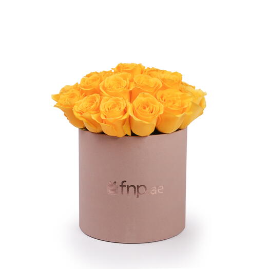 Rosas color amarillo sol en caja rosa