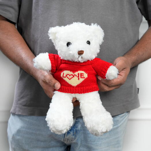 25cm Милый красный плюшевый мишка в свитере с надписью Love  7483