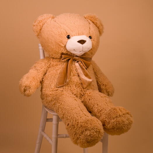 Коричневый плюшевый мишка