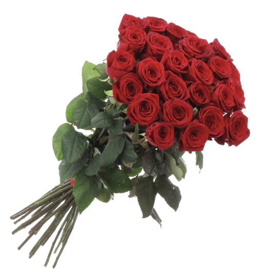 20 Fresh Red Roses - Blooming Red Roses for Vase - Valentines Day Gift