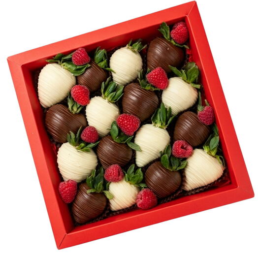 Aisha Duo Box - MEDIUM