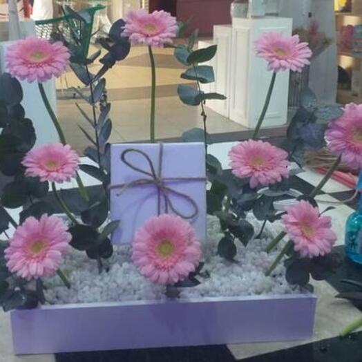 Pink Gerbera Eucalyptus with White stones in Box