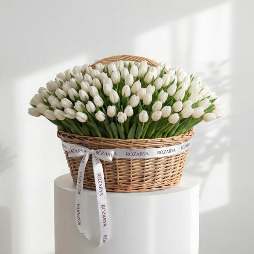 Белые тюльпаны: чистый шедевр