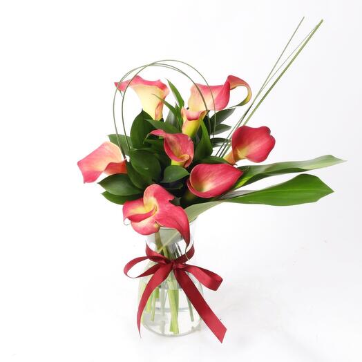 Cala Roja Madera Lirio