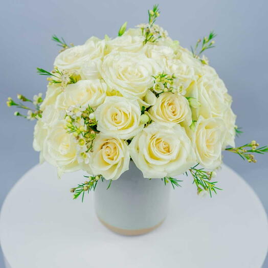 21 White rose in vase