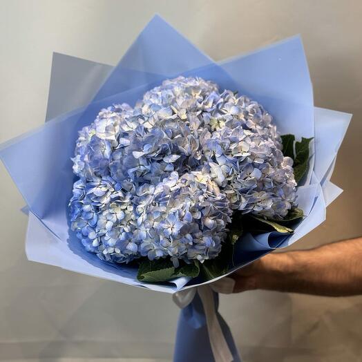 BOUQUET À LA MAIN D'HORTENSIAS BLEUS