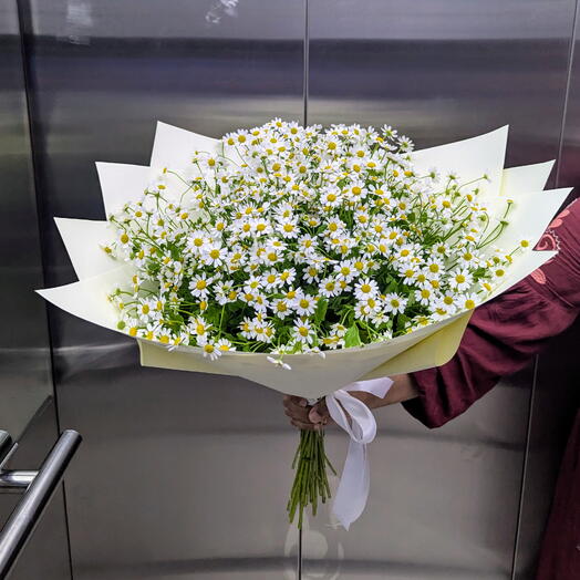 Daisy Hand Bouquet