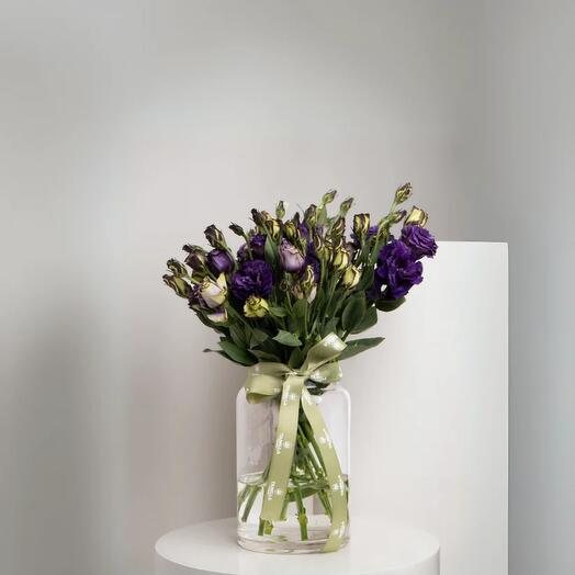 مزهرية أوستوما الأرجوانية