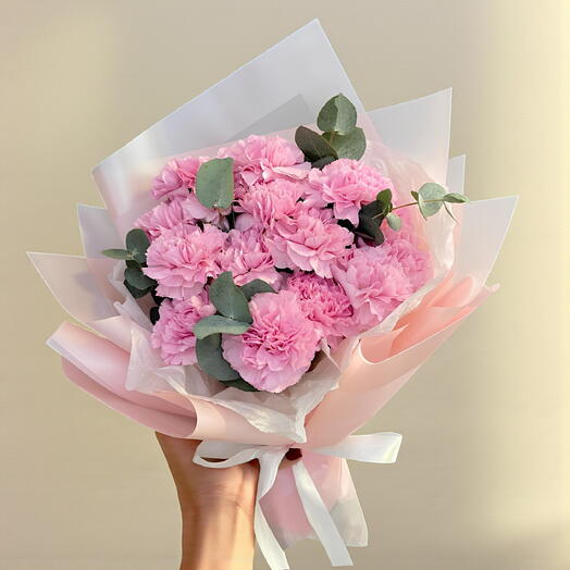 🌸💖 Sweet Affection! 12 Pink Carnations for a Thoughtful Surprise! CarnationLove GiftIdeas