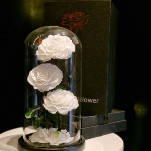 GLASS DOME- ETERNAL ROSES | white 3 roses (LARGE)