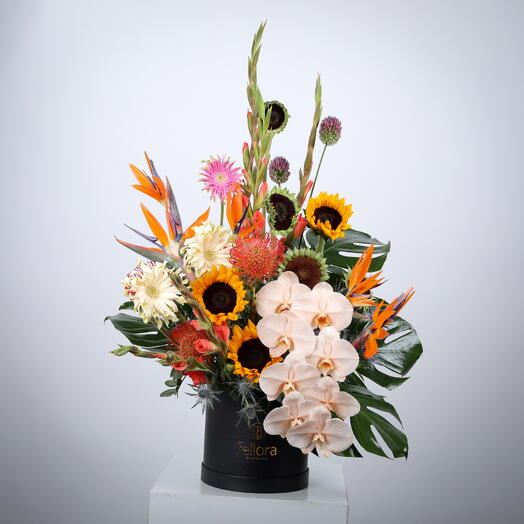 Фаленопсис Премиум Коробка Смешанных Цветов  7253