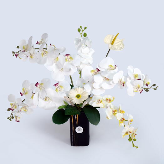 Элегантность орхидеи