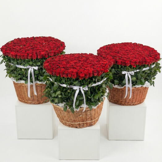 201 x 3 : No Words Needed - Set of Three Valentine Basket of 201 Roses