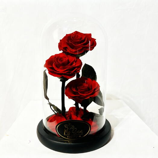 Red infinity 3 flowers in doomed glass