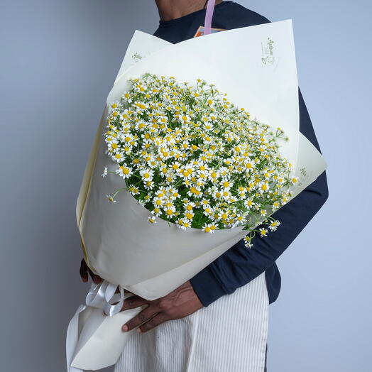 25 Daisy Bouquet-6068