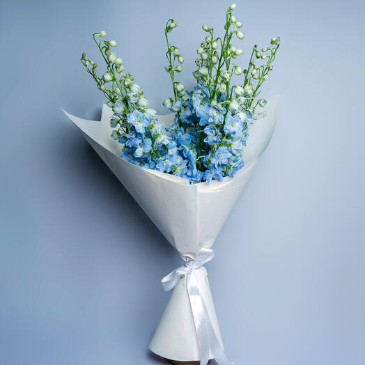 9 Blue Delphinium-6049