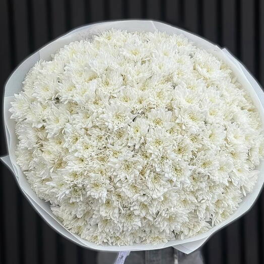 Белая хризантема