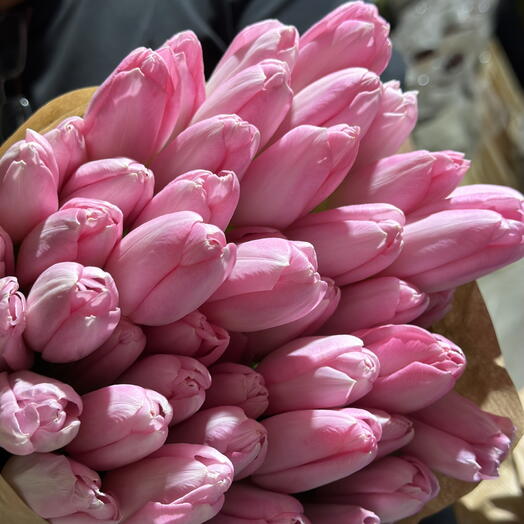501pink tulips