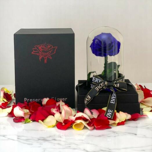 Forever Blue Preserved Rose in Glass Dome – Eternal Royal Blue Rose Gift for Him or Her