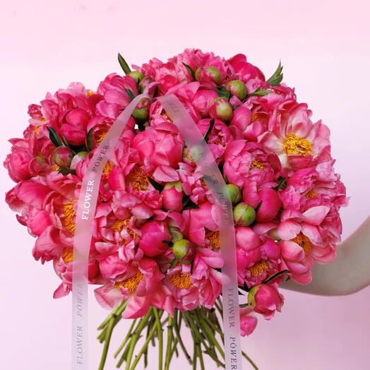Corail : Bouquet extra-large de 50 pivoines