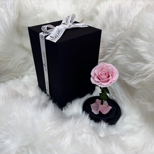 Pink infinity flower (15CM flower height without the dome)