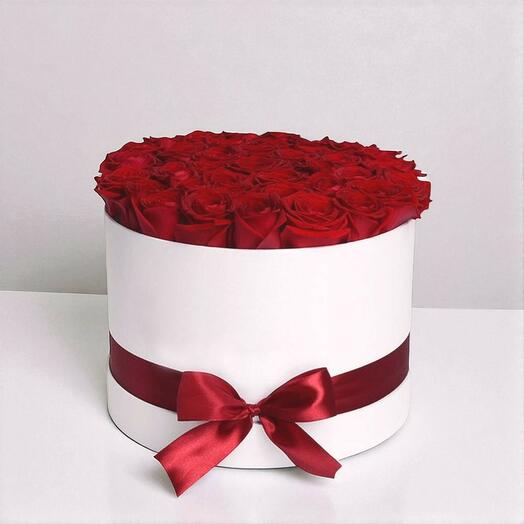 Красная роза в белой коробке