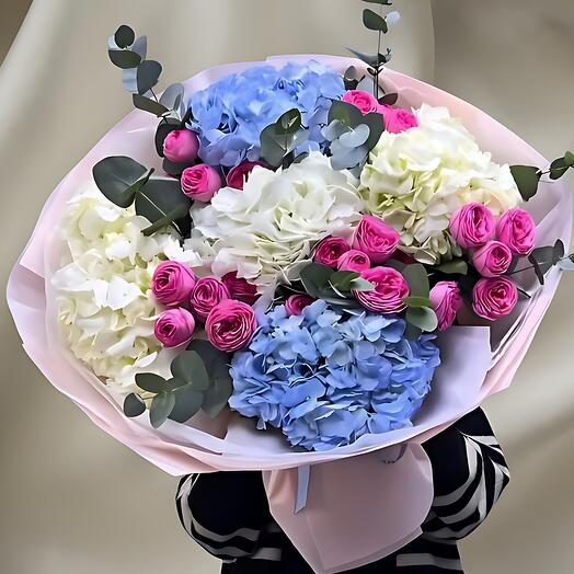 Blue and white hydrangea mix bloom
