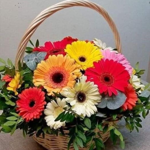 21 Gerbera Flowers in basket