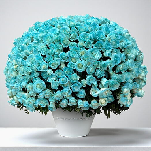 Imperio de la Rosa Azul - 501 tallos