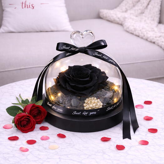 Вечная чёрная роза в куполе