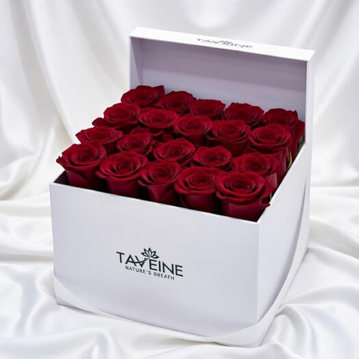 Red Roses in Square Box