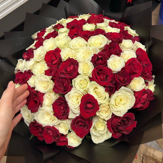 100 roses white red