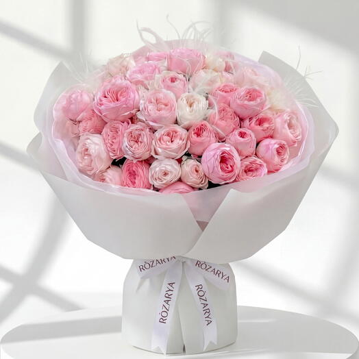 Blush   Feather: The Grand Garden Rose Cloud