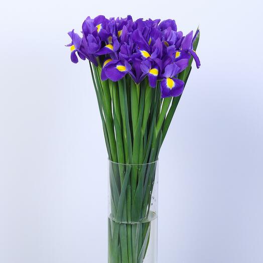21 ирис в вазе -566