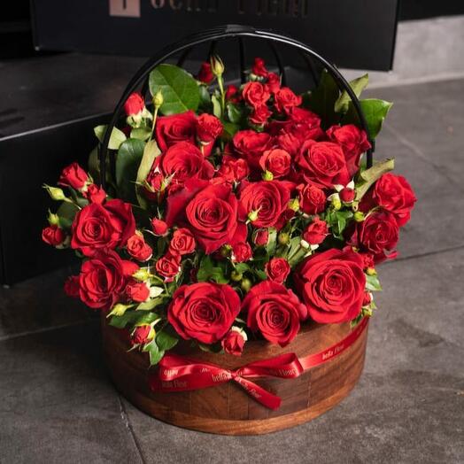 Medium bird cage mix red