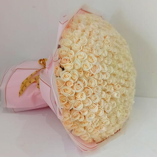 Специальный 011