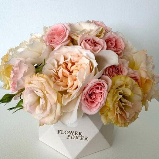 Apricot Vibe: Small Size Box with Roses and Eustoma