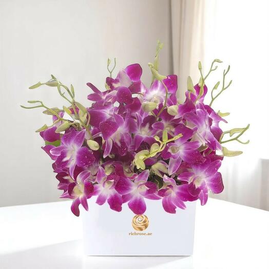 SINGAPORE - Purple Orchid Gift Box