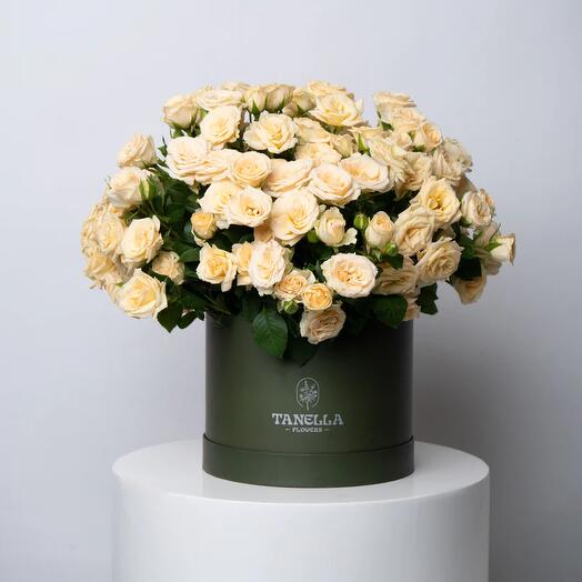 Маргаритка Заварной Крем