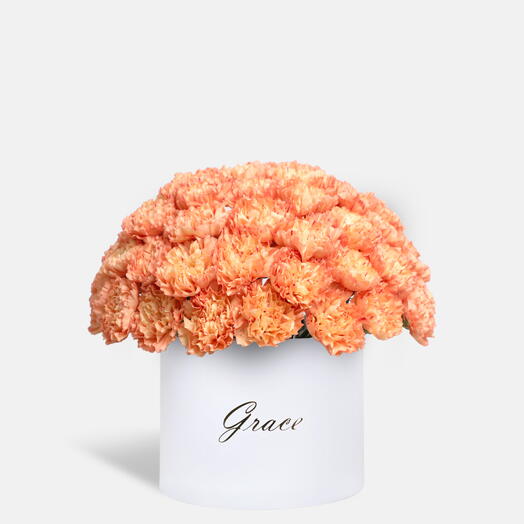 Orange Carnation in Extra-Large Box